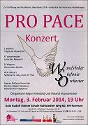 2014 02 03 propace